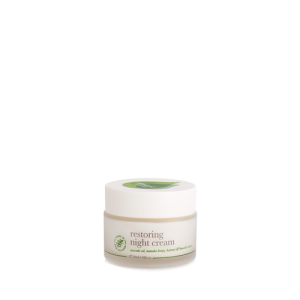 Skinfood Restore Night Cream 50ml